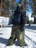 files/1_0096_carolalvettSV2506_8_07906ac6-7621-44c1-a370-439f009804d3.jpg